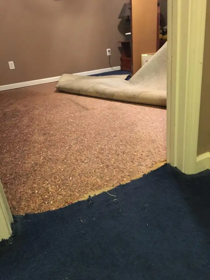 Carpet pad removal revealing water damage during Drying & Dehumidification in Lombard