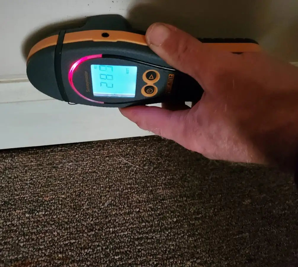 Moisture detection at baseboard during Sewage Cleanup & Sanitation in Lombard